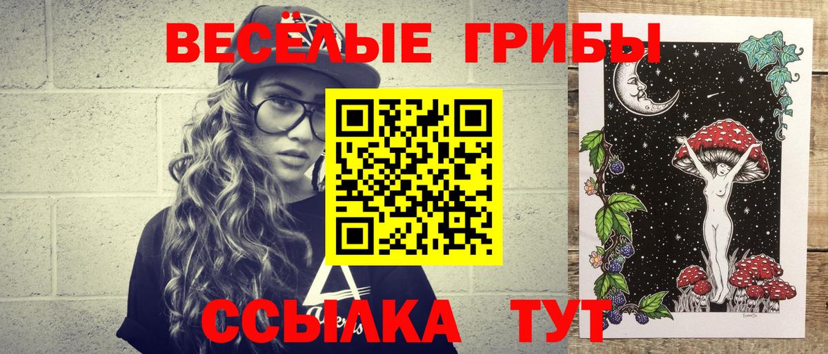 где найти наркотики  Галлюциногенные грибы мухоморы  Вход с VPN  Канаш 